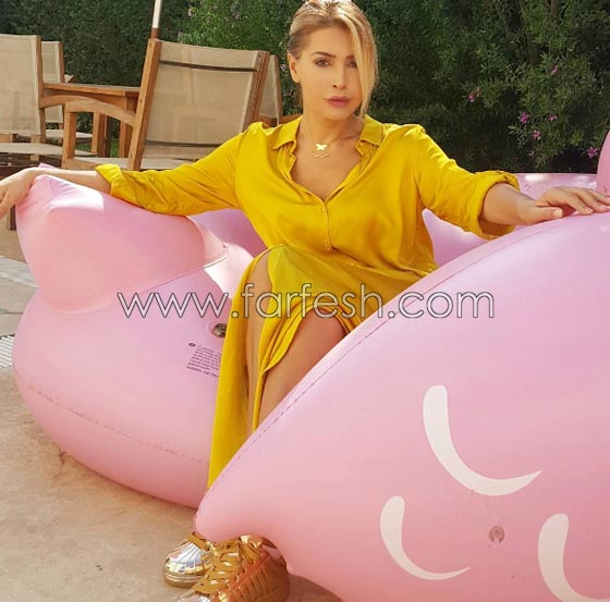 صور منزل نوال الزغبي الفاخر والديكورات الفخمة  صورة رقم 12