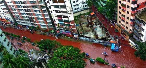نهر من الدماء يجتاح شوارع بنغلاديش في عيد الاضحى.. صور صورة رقم 2 نهر من الدماء يجتاح شوارع بنغلاديش في عيد الاضحى.. صور صورة رقم 2