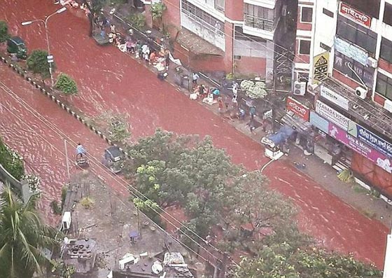 نهر من الدماء يجتاح شوارع بنغلاديش في عيد الاضحى.. صور صورة رقم 3 نهر من الدماء يجتاح شوارع بنغلاديش في عيد الاضحى.. صور صورة رقم 3