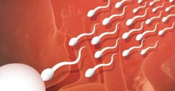 طبيب يلقح 70 امرأة بحيواناته المنوية في فضيحة هزت المجتمع الامريكي صورة رقم 7 طبيب يلقح 70 امرأة بحيواناته المنوية في فضيحة هزت المجتمع الامريكي صورة رقم 7