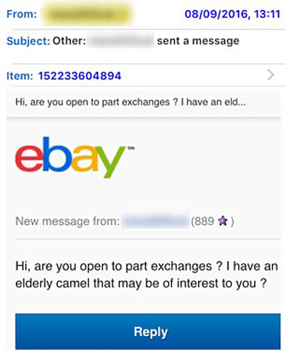 رجل ينشر صورة زوجته على موقع إي بي ويعرضها للبيع!   صورة رقم 10