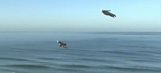 ترامب وكلينتون يحلقان في الجو فوق شاطئ بكاليفورنيا صورة رقم 3 ترامب وكلينتون يحلقان في الجو فوق شاطئ بكاليفورنيا صورة رقم 3