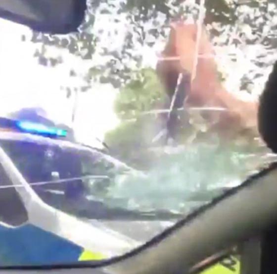 شرطي بريطاني يحطم زجاج سيارة سائق رفض الانصياع لاوامره صورة رقم 7