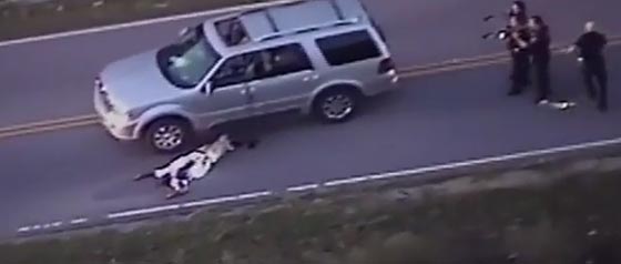 فيديو صادم.. الشرطة الامريكية تقتل الرجل الاسود رقم 161 هذا العام! صورة رقم 1