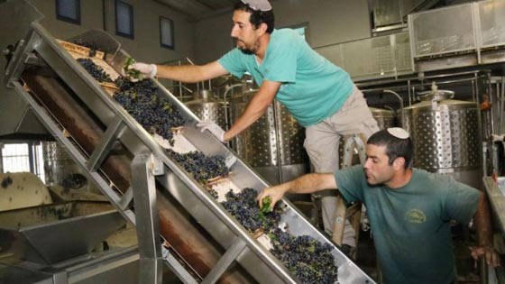 حركة السلام الان تحصل على نبيذ مستوطنات هدية من السفارة الامريكية صورة رقم 3