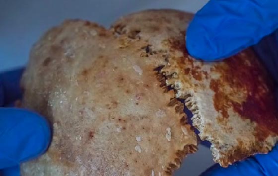 علماء الآثار يكتشفون اول حاسوب إغريقي قديم في سفينة غرقت قبل 2000 سنة! صورة رقم 5 علماء الآثار يكتشفون اول حاسوب إغريقي قديم في سفينة غرقت قبل 2000 سنة! صورة رقم 5