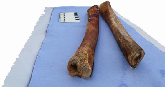 علماء الآثار يكتشفون اول حاسوب إغريقي قديم في سفينة غرقت قبل 2000 سنة! صورة رقم 4 علماء الآثار يكتشفون اول حاسوب إغريقي قديم في سفينة غرقت قبل 2000 سنة! صورة رقم 4