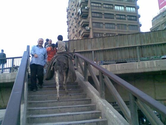 بريطانيون متحدون ضد طرد مسلمة مع اطفالها الخمسة من منزلهم صورة رقم 5