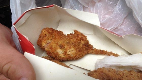 فأر مقرمش في وجبة دجاج كنتاكي صورة رقم 1