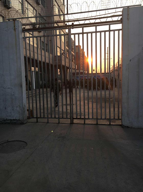 فتاة مدمنة على الانترنت تقتل امها جوعا وتطعن والدها بسكين صورة رقم 4