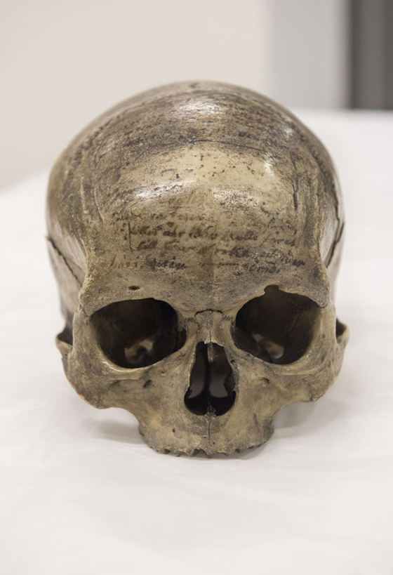 18 ألف جمجمة بمتحف باريس لجزائريين قطع رؤوسهم الاستعمار  صورة رقم 5