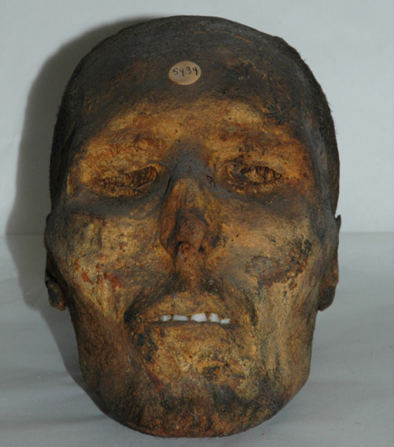 18 ألف جمجمة بمتحف باريس لجزائريين قطع رؤوسهم الاستعمار  صورة رقم 1