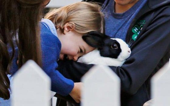 ما هي اول كلمة نطقت بها الاميرة الصغيرة تشارلوت؟ شاهد الفيديو صورة رقم 12