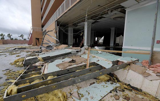 بالفيديو والصور.. شاهد كيف اقتلع اعصار ماثيو المدمر شجرة ومنزلا صورة رقم 1 بالفيديو والصور.. شاهد كيف اقتلع اعصار ماثيو المدمر شجرة ومنزلا صورة رقم 1