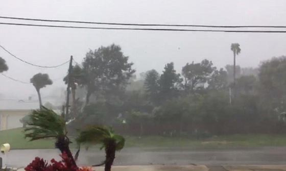 بالفيديو والصور.. شاهد كيف اقتلع اعصار ماثيو المدمر شجرة ومنزلا صورة رقم 5 بالفيديو والصور.. شاهد كيف اقتلع اعصار ماثيو المدمر شجرة ومنزلا صورة رقم 5