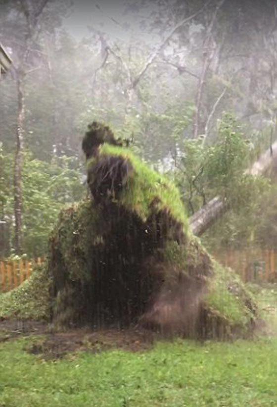 بالفيديو والصور.. شاهد كيف اقتلع اعصار ماثيو المدمر شجرة ومنزلا صورة رقم 11 بالفيديو والصور.. شاهد كيف اقتلع اعصار ماثيو المدمر شجرة ومنزلا صورة رقم 11