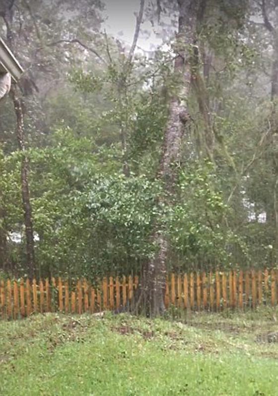 بالفيديو والصور.. شاهد كيف اقتلع اعصار ماثيو المدمر شجرة ومنزلا صورة رقم 12 بالفيديو والصور.. شاهد كيف اقتلع اعصار ماثيو المدمر شجرة ومنزلا صورة رقم 12