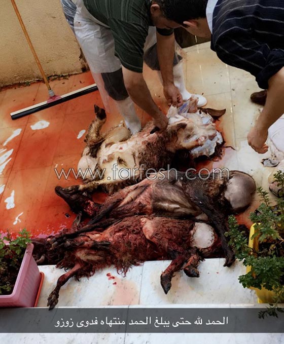 صور زين كرزون تحتفل بالافراج عنها بالورد والحلويات والمنسف! صورة رقم 8