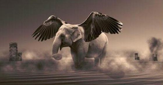  وزير عراقي يتعرض للسخرية بسبب تصريح غبي عن مطار الناصرية صورة رقم 1