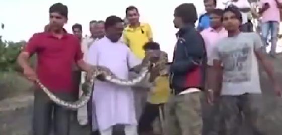 اجراءات صارمة في الهند في اعقاب سيلفي الثعبان.. شاهد الفيديو صورة رقم 1