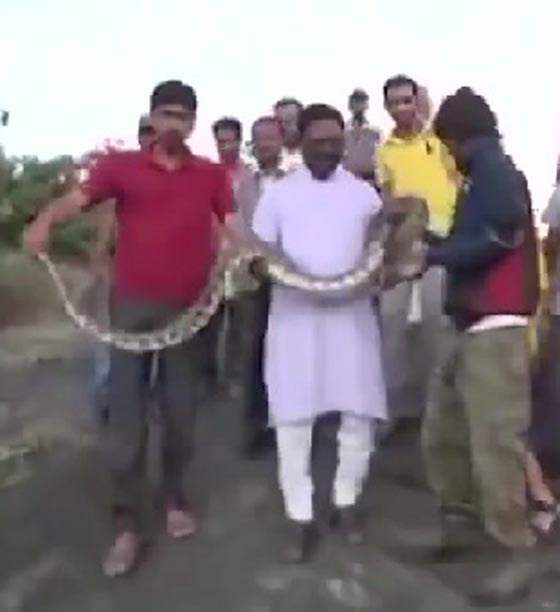 اجراءات صارمة في الهند في اعقاب سيلفي الثعبان.. شاهد الفيديو صورة رقم 3