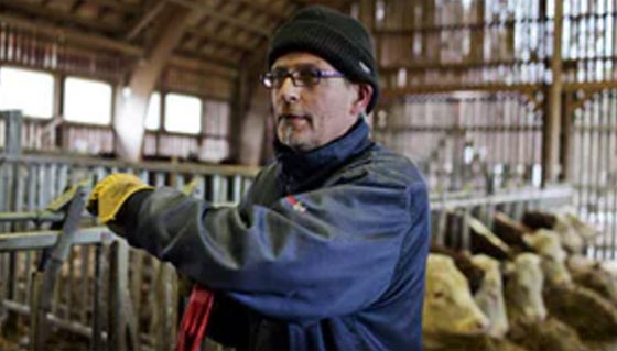 السجن الاكثر رفاهية في العالم منتجع على جزيرة نرويجية قرب اوسلو صورة رقم 8