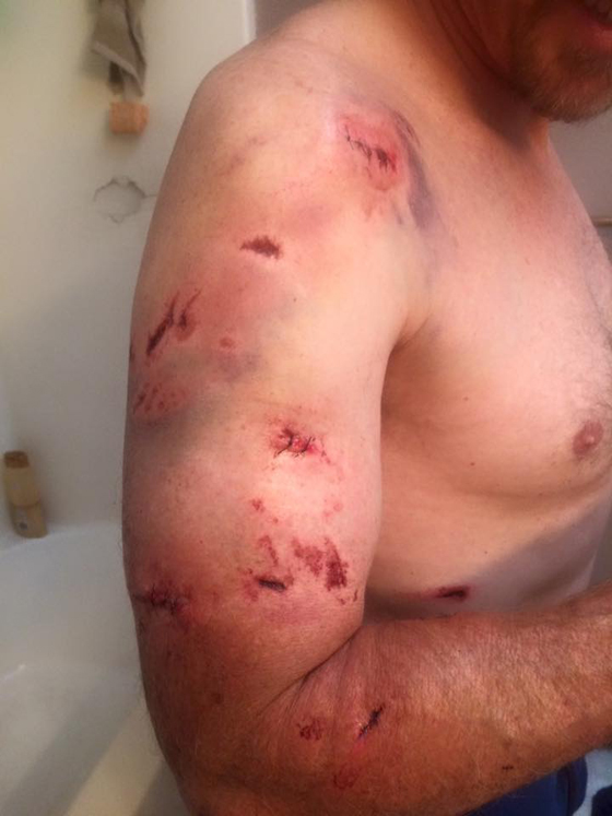  فيديو الدببة يحظى بملايين المشاهدات ومؤسس الفيسبوك يضغط لايك صورة رقم 3