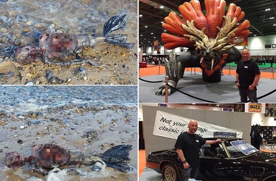 فيديو وصور: جثة غريبة متعفنة على الشاطئ مع ذيل سمكة ورأس انسان صورة رقم 2