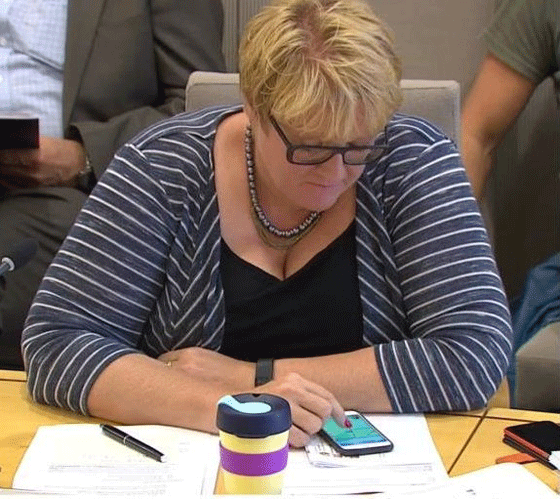 رئيسة وزراء النرويج تطارد بوكيمون اثناء جلسة البرلمان صورة رقم 4