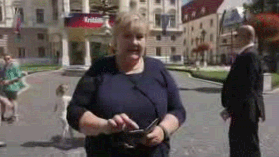 رئيسة وزراء النرويج تطارد بوكيمون اثناء جلسة البرلمان صورة رقم 11