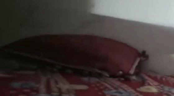 استسلام زعيم مافيا اختبأ خلف خزانة مدة خمس سنوات.. فيديو صورة رقم 4