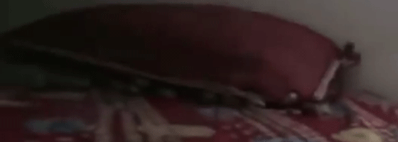 استسلام زعيم مافيا اختبأ خلف خزانة مدة خمس سنوات.. فيديو صورة رقم 15