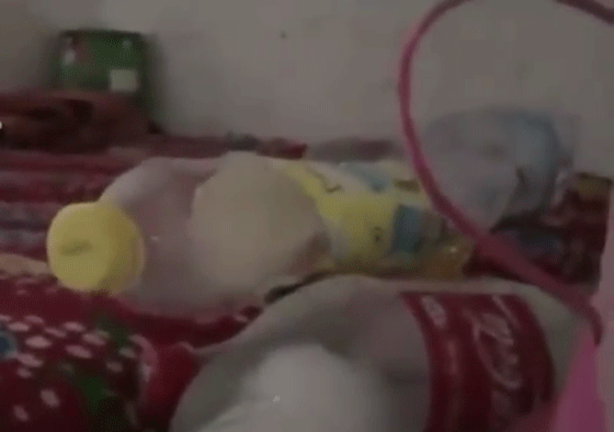 استسلام زعيم مافيا اختبأ خلف خزانة مدة خمس سنوات.. فيديو صورة رقم 16