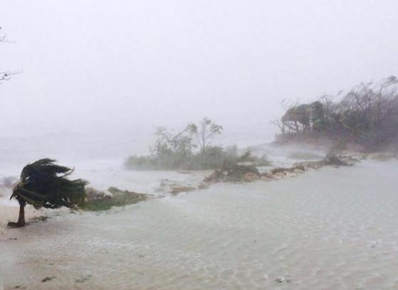 بعد ان حصد ارواح المئات.. الاعصار ماثيو يوشك على اجتياح فلوريدا صورة رقم 17