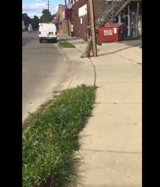 ديترويت تتحول الى دولة عربية وقت رفع الآذان.. فيديو صورة رقم 1