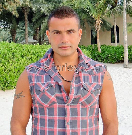 فيديو محمد منير يتنبأ بنجاح الهضبة عمرو دياب في لقاء قديم صورة رقم 9
