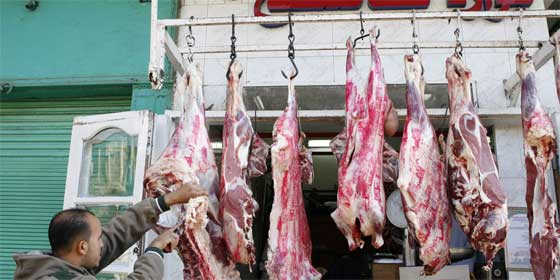 حقيقة صادمة.. جميع المصريين اكلوا لحوما فاسدة ونصفهم اكلوا لحم حمير صورة رقم 2 حقيقة صادمة.. جميع المصريين اكلوا لحوما فاسدة ونصفهم اكلوا لحم حمير صورة رقم 2