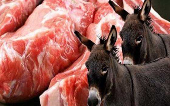 حقيقة صادمة.. جميع المصريين اكلوا لحوما فاسدة ونصفهم اكلوا لحم حمير صورة رقم 1 حقيقة صادمة.. جميع المصريين اكلوا لحوما فاسدة ونصفهم اكلوا لحم حمير صورة رقم 1