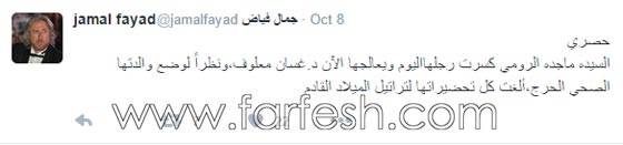 السيدة ماجدة الرومي تتعرض لحادث يؤدي الى كسر قدمها صورة رقم 2