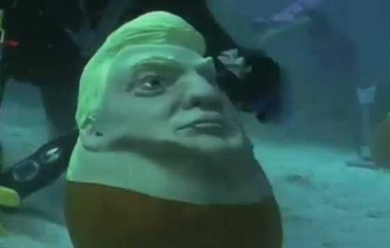 الناخب الامريكي المتردد يستطيع ان يختار قرعة تحت الماء! صورة رقم 3