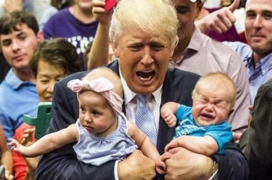  فيديو طريف: حتى القطط تهاجم دونالد ترامب ولا تطيقه! صورة رقم 2