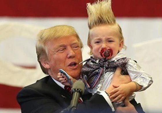  فيديو طريف: حتى القطط تهاجم دونالد ترامب ولا تطيقه! صورة رقم 4