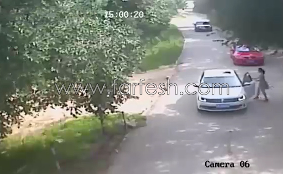 صينية تقاضي ادارة حديقة حيوان بعد ان هاجمها نمر.. فيديو صورة رقم 2 صينية تقاضي ادارة حديقة حيوان بعد ان هاجمها نمر.. فيديو صورة رقم 2