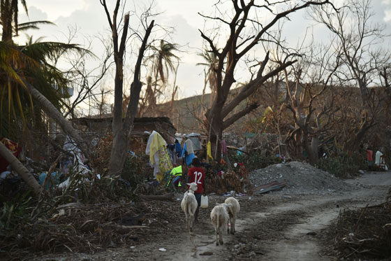  ماثيو يواصل حصد الارواح وحصيلة القتلى في نورث كارولاينا 22  صورة رقم 2