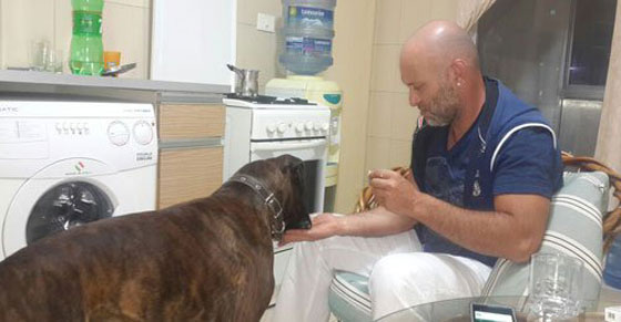 جريمة بشعة وصور مروعة.. لبناني يقتل عائلة بأكملها بسبب الكلاب صورة رقم 12