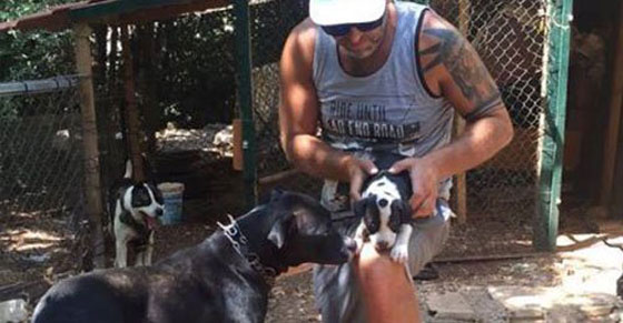 جريمة بشعة وصور مروعة.. لبناني يقتل عائلة بأكملها بسبب الكلاب صورة رقم 13