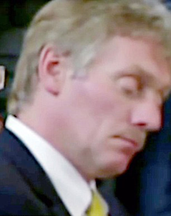 الناطق باسم بوتين يأخذ غفوة خلال مؤتمر صحفي مع اردوغان صورة رقم 3