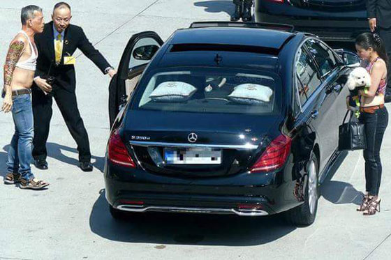 تايلاند في انتظار ملك شبه مجنون يرتدي الصدرية ويعين كلبه قائدا صورة رقم 3 تايلاند في انتظار ملك شبه مجنون يرتدي الصدرية ويعين كلبه قائدا صورة رقم 3