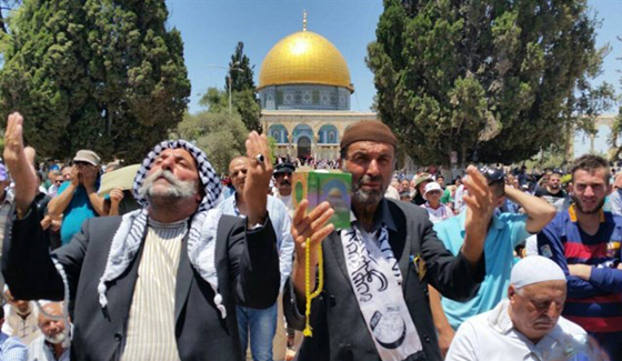 اليونيسكو تقرر نهائيا: القدس الشرقية تراث إسلامي فلسطيني خالص صورة رقم 6 اليونيسكو تقرر نهائيا: القدس الشرقية تراث إسلامي فلسطيني خالص صورة رقم 6