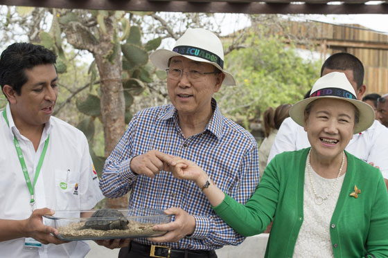  الامين العام للأمم المتحدة بان كي مون يتبنى طفل السلحفاة العملاقة! صورة رقم 4